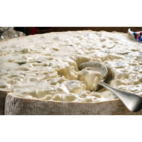 GORGONZOLA cremoso con TRUFA NEGRA peso aproximado 150 grs